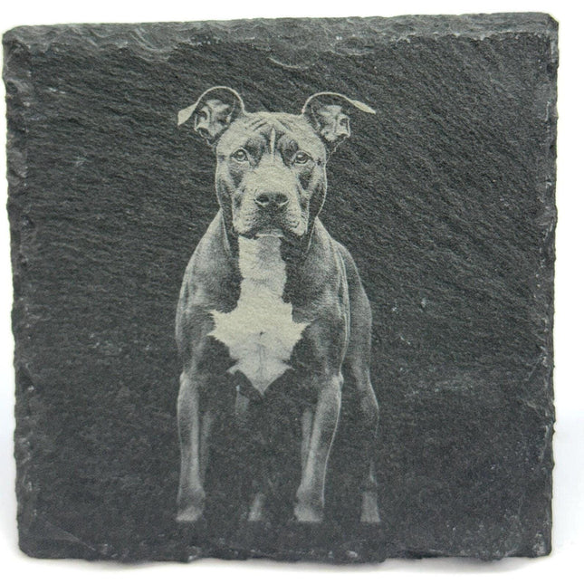 Pit Bull Dog Slate Coaster – Realistic Pet Art