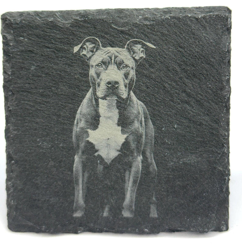 Pit Bull Dog Slate Coaster – Realistic Pet Art