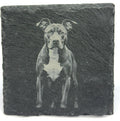 Pit Bull Dog Slate Coaster – Realistic Pet Art