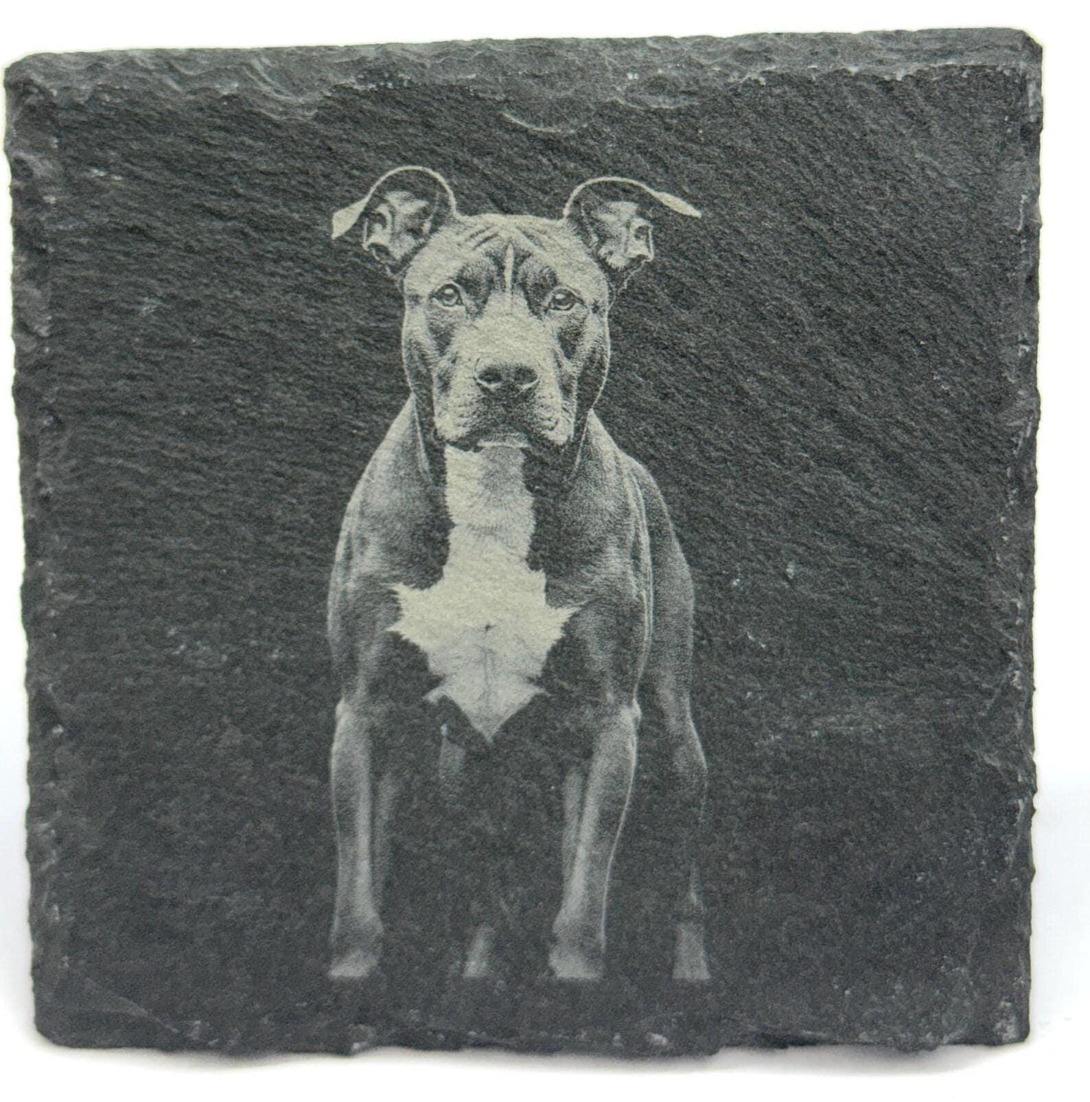 Pit Bull Dog Slate Coaster – Realistic Pet Art