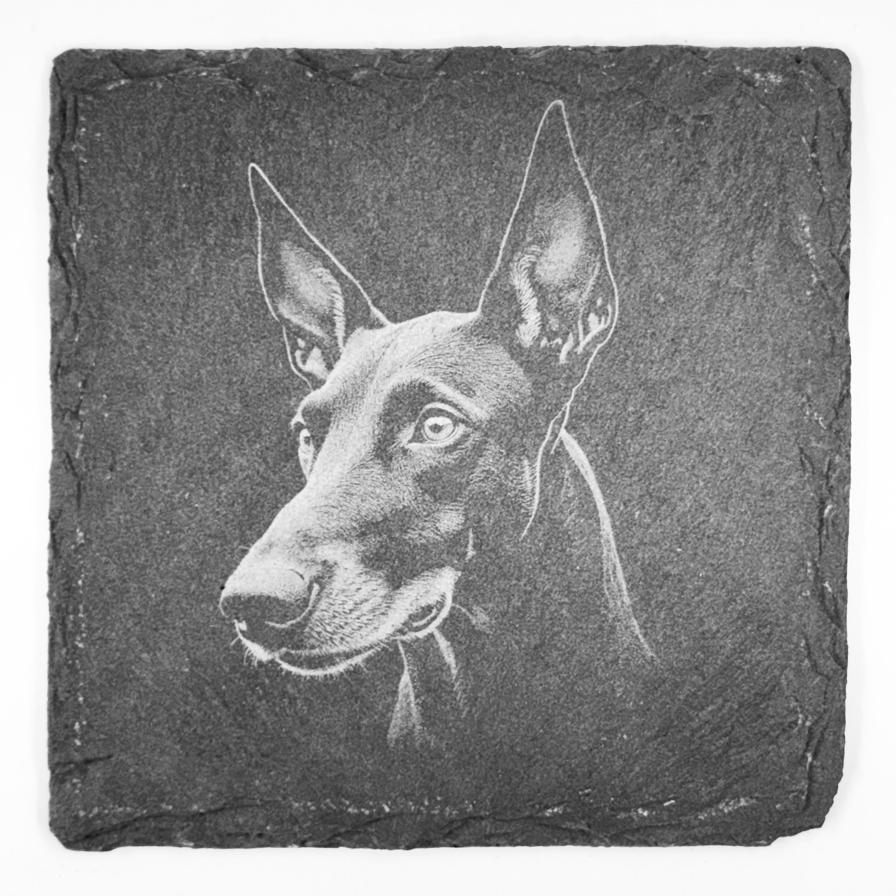Doberman Dog Portrait Slate Coaster – Alert Expression Artwork