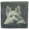 Yorkshire Terrier Slate Coaster – Engraved Yorkie Dog Art