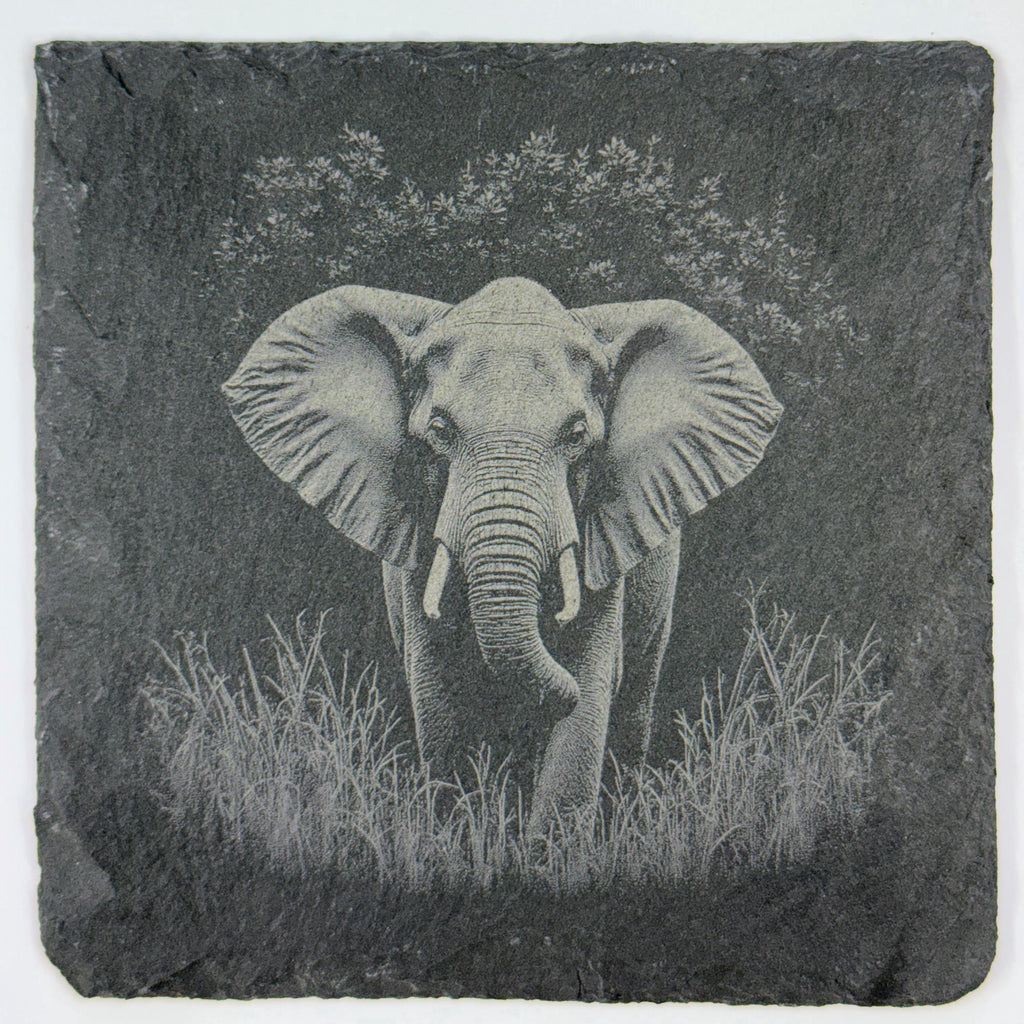 Gentle Giant Elephant in the Grass – Engraved Slate Coaster