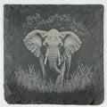 Gentle Giant Elephant in the Grass – Engraved Slate Coaster