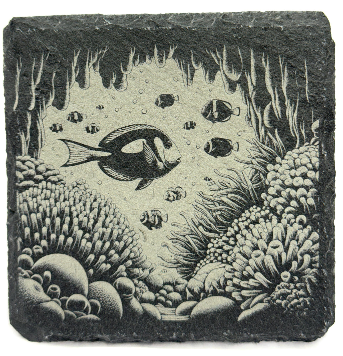Tropical Reef Fish Slate Coaster – Ocean Cave Underwater Art