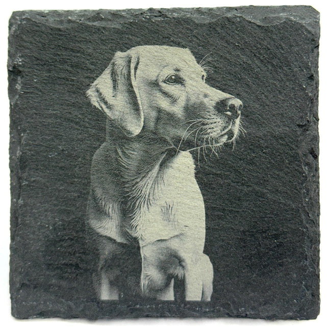 Labrador Dog Slate Coaster – Realistic Pet Art