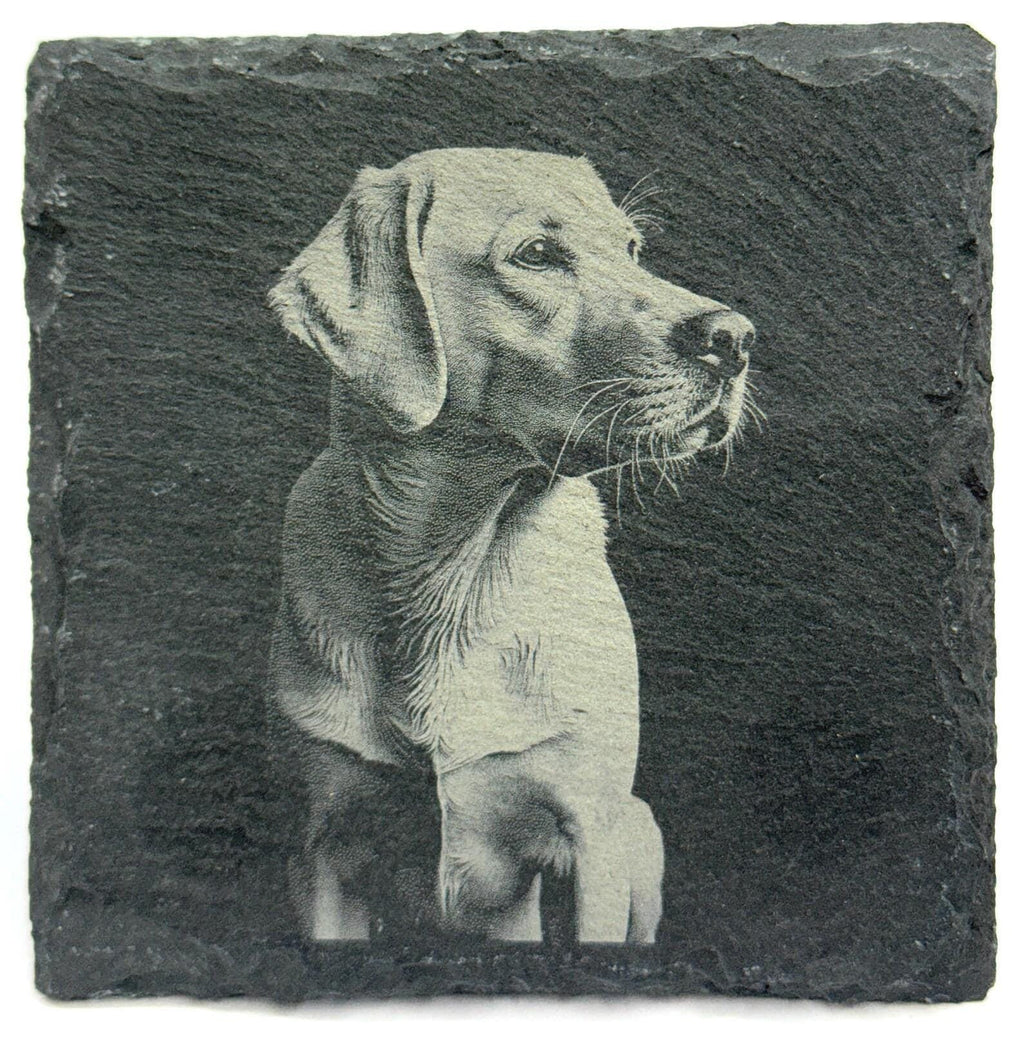Labrador Dog Slate Coaster – Realistic Pet Art
