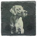 Labrador Dog Slate Coaster – Realistic Pet Art