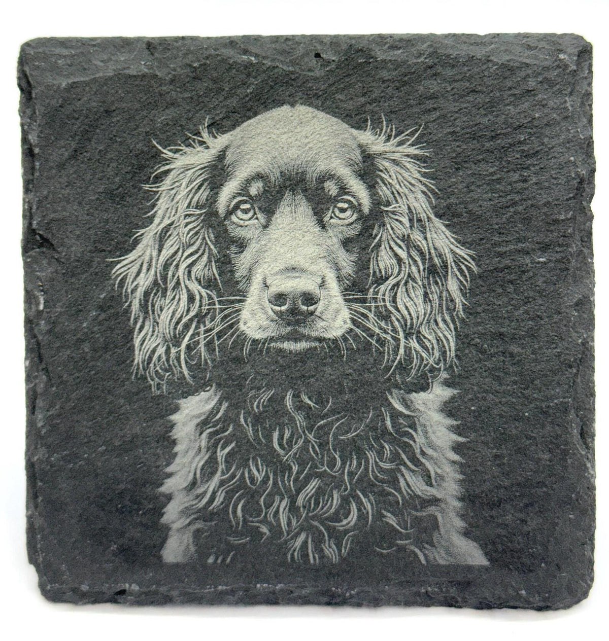 Cocker Spaniel Portrait Coaster – Natural Slate Stone