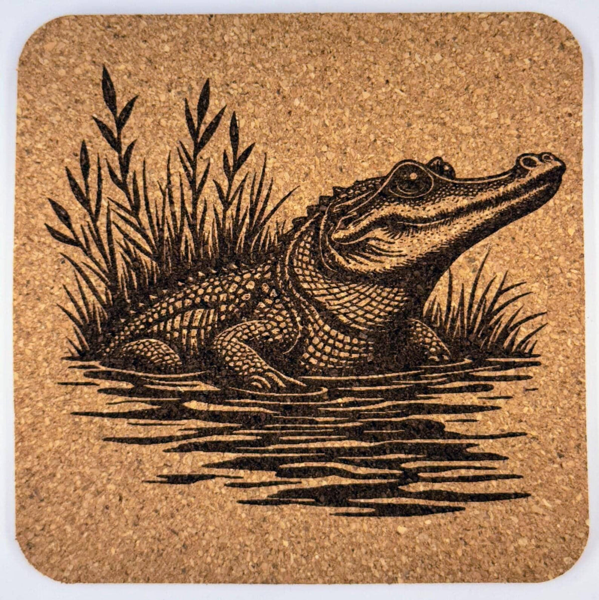 Alligator Emerging from Water – Southern Swamp Cork Coaster
