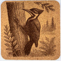 Pileated Woodpecker Forest Scene – Pacific Northwest Bird Cork Coaster