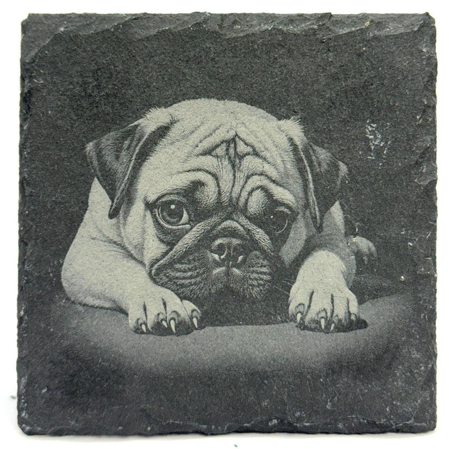 Pug Portrait Slate Coaster – Classic Black Stone Dog Art
