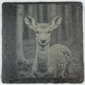 Adorable Baby Fawn Portrait – Cute Engraved Slate Coaster
