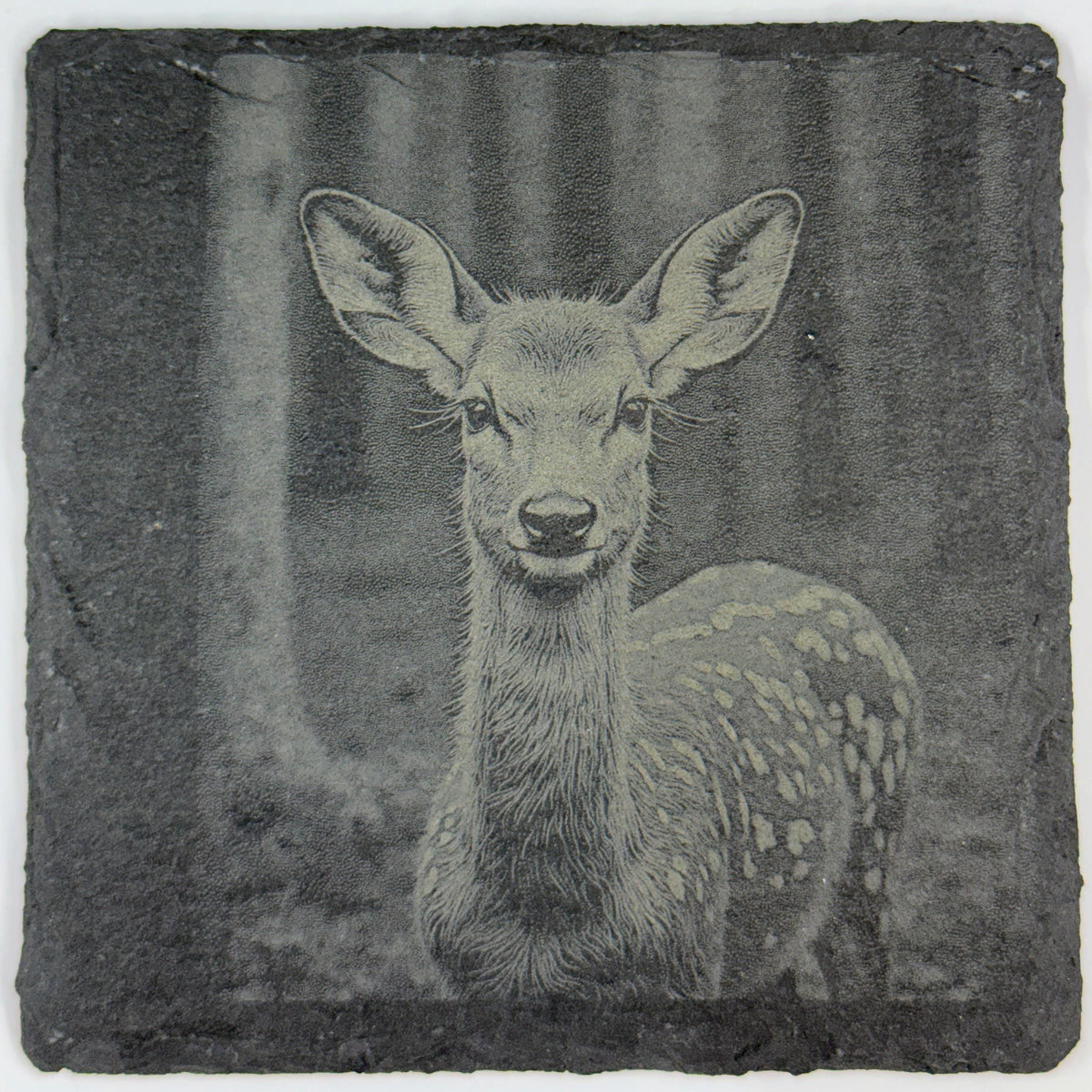 Adorable Baby Fawn Portrait – Cute Engraved Slate Coaster