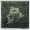 Curious Bearded Dragon Slate Coaster – Expressive Reptile Art