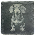 Wiener Dog Portrait Coaster – Natural Slate Stone
