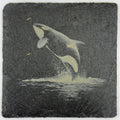 Playful Orca Breaching with a Splash – Engraved Slate Coaster