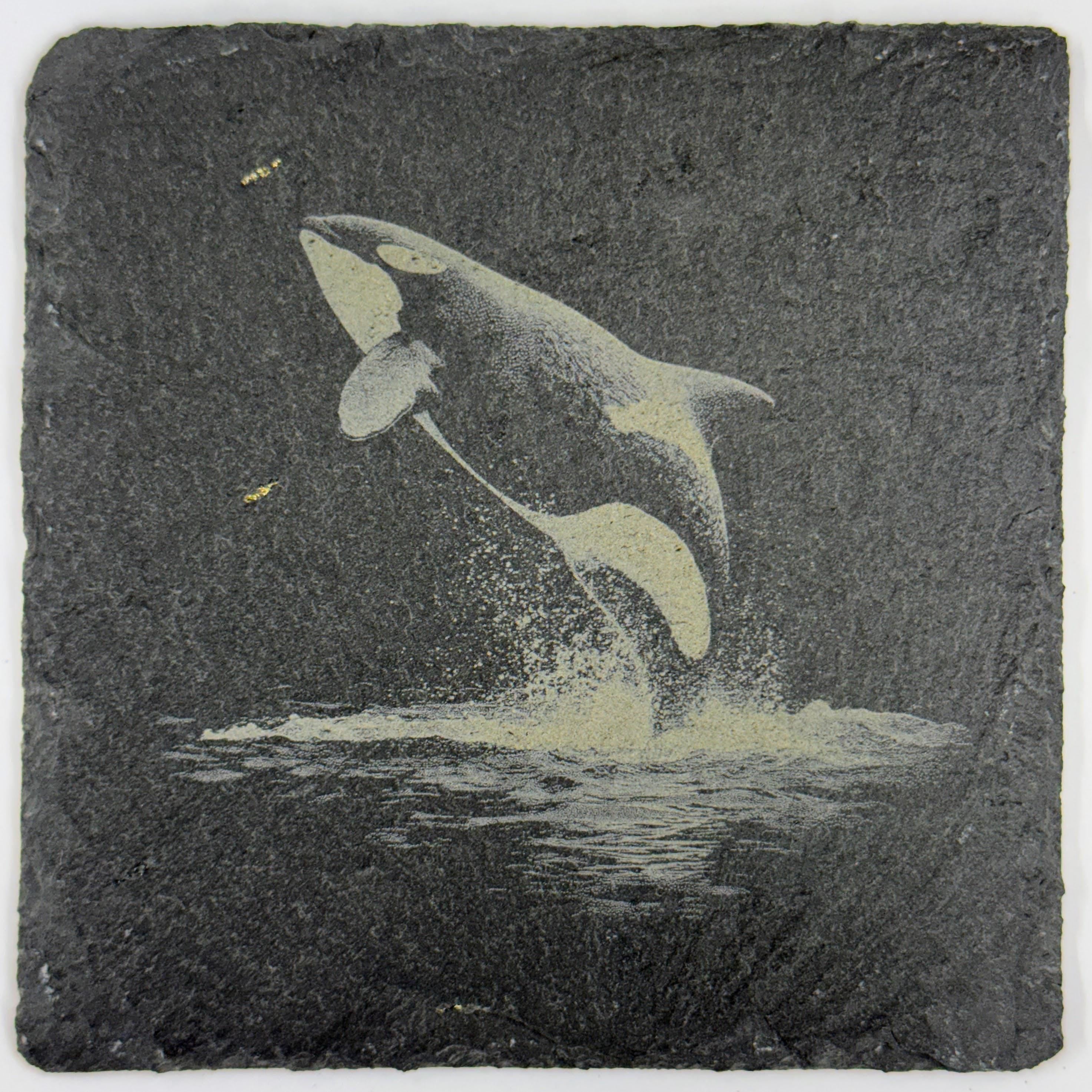 Playful Orca Breaching with a Splash – Engraved Slate Coaster