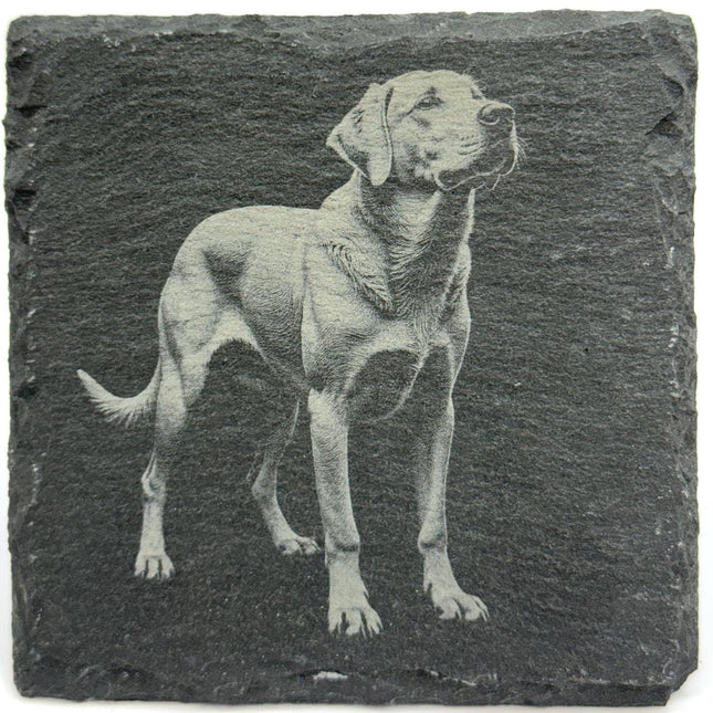 Lab Dog Portrait Coaster – Natural Slate Stone