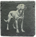 Lab Dog Portrait Coaster – Natural Slate Stone
