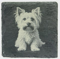 Yorkie Lover Coaster – Detailed Dog Portrait on Slate