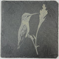 Hummingbird Feeding on Flower – Stone Slate Coaster