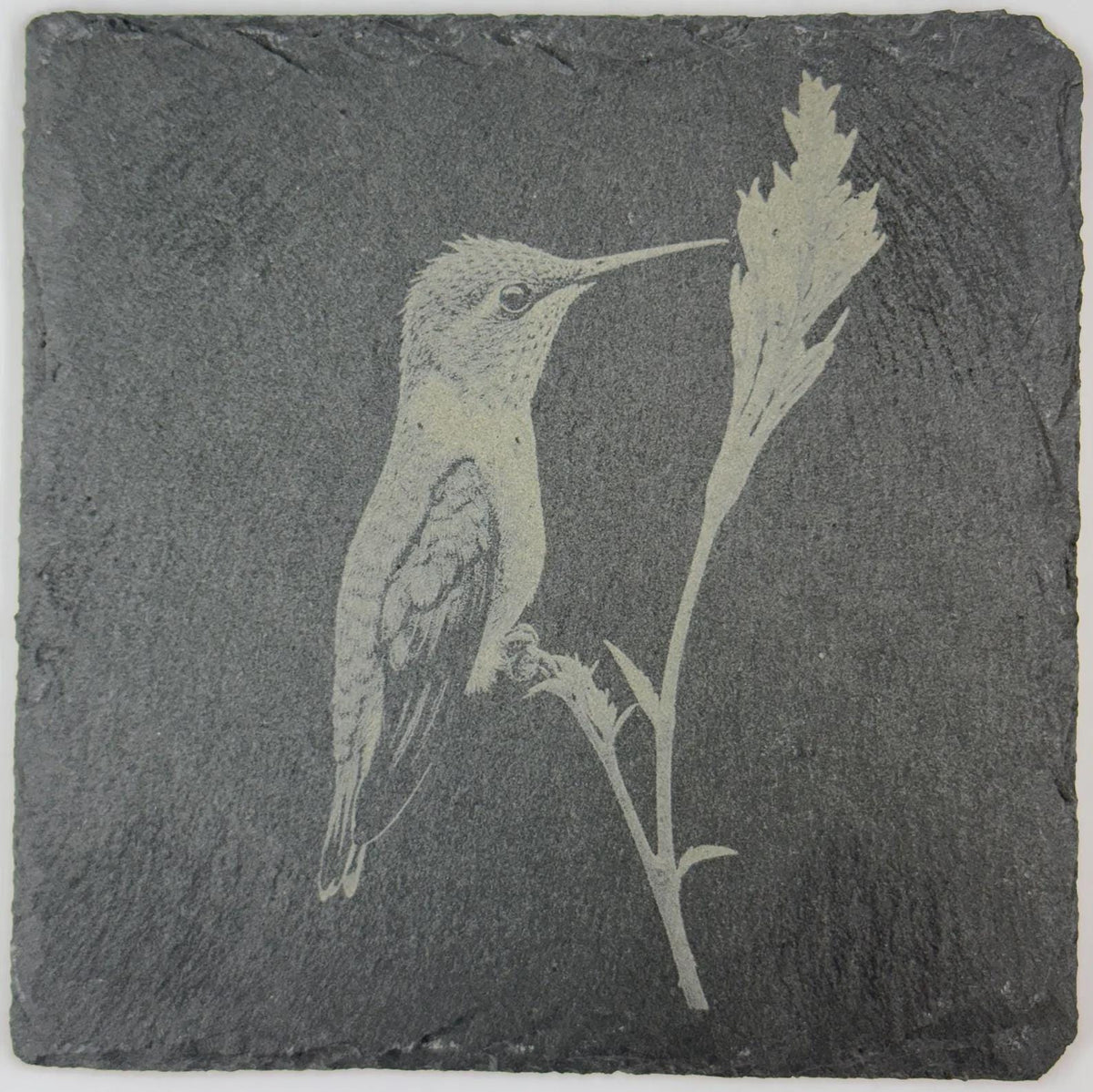 Hummingbird Feeding on Flower – Stone Slate Coaster