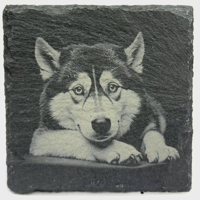 Siberian Husky Portrait Slate Coaster – Arctic Dog Art