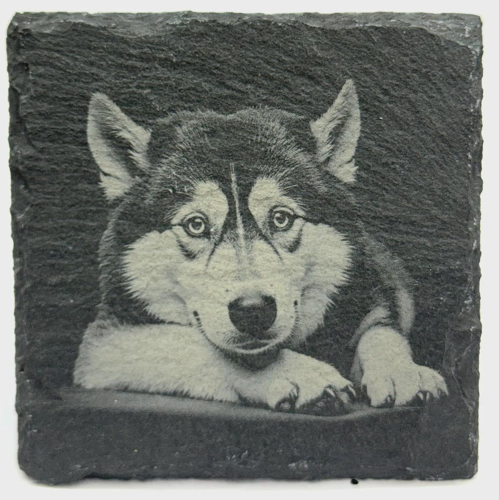 Siberian Husky Portrait Slate Coaster – Arctic Dog Art