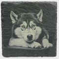 Siberian Husky Portrait Slate Coaster – Arctic Dog Art