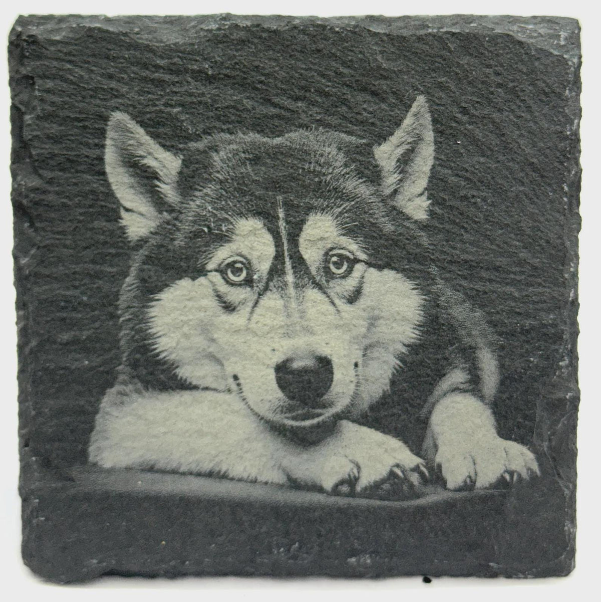 Siberian Husky Portrait Slate Coaster – Arctic Dog Art