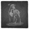 Great Dane Dog Portrait Slate Coaster – Elegant Strength and Grace
