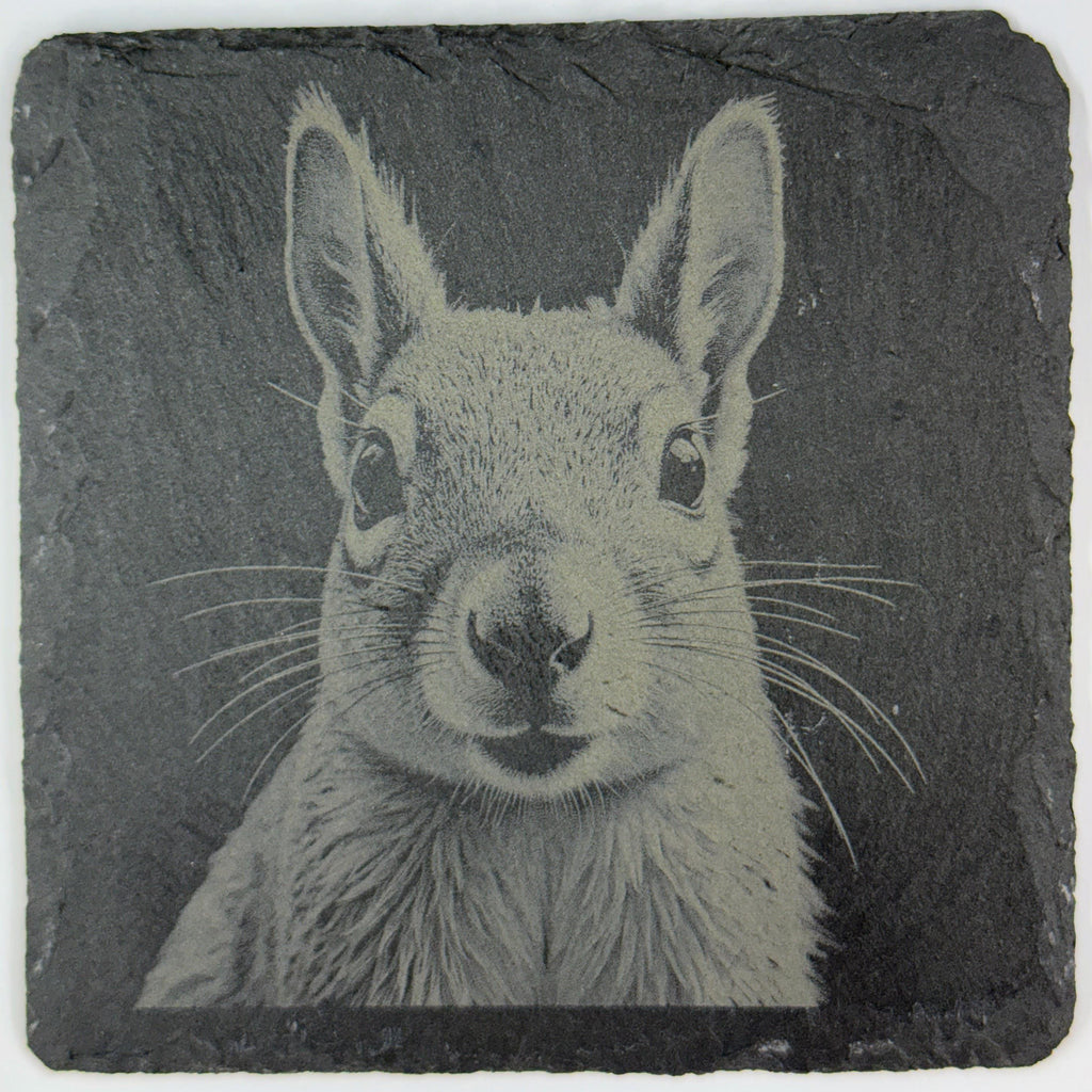 Curious Little Squirrel Face – Cute Engraved Slate Coaster