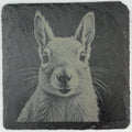 Curious Little Squirrel Face – Cute Engraved Slate Coaster