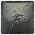 Gentle Dolphin Gliding Through the Sea – Engraved Slate Coaster