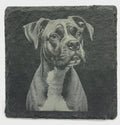 Boxer Dog Slate Coaster – Engraved Boxer Portrait