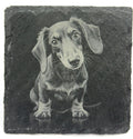 Dachshund Slate Coaster – Engraved Wiener Dog Portrait
