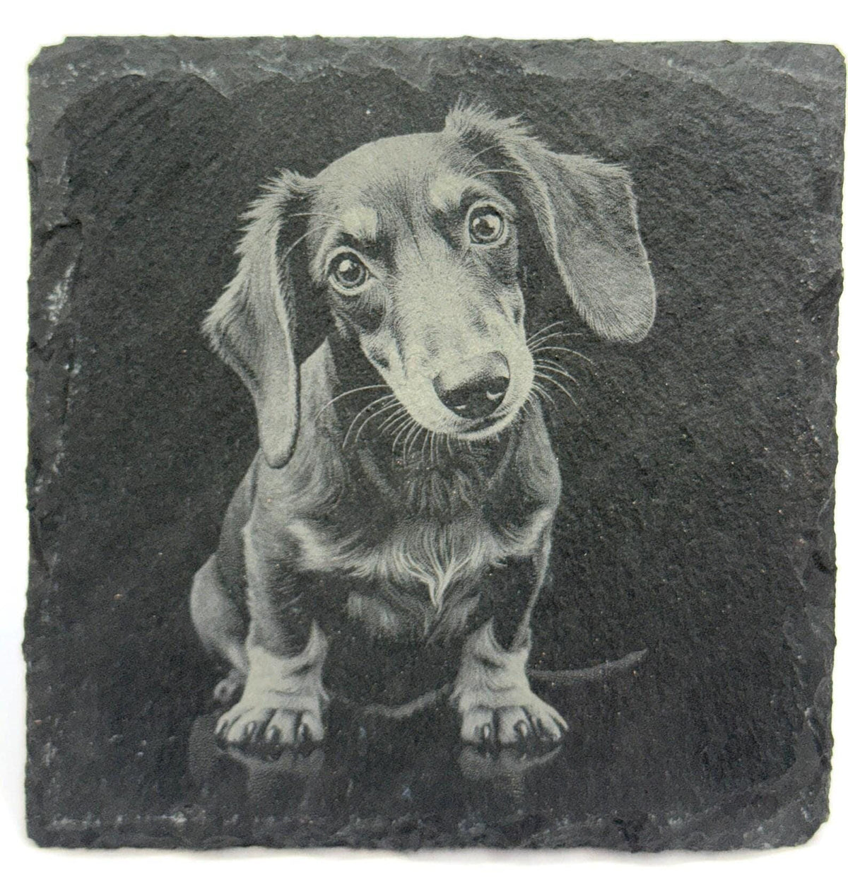 Dachshund Slate Coaster – Engraved Wiener Dog Portrait