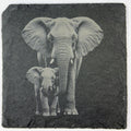 Elephant and Baby Walking Side by Side – Engraved Slate Coaster