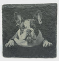 Adorable English Bulldog Coaster Set – Playful Bulldog Art on Natural Slate