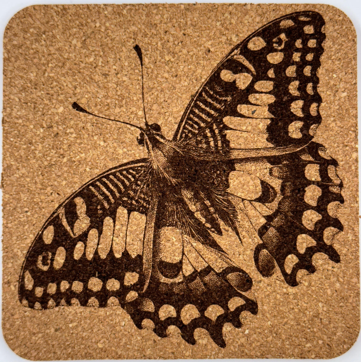 Butterfly Cork Drink Coasters Set | Laser Engraved Nature-Inspired Insect Art Decor