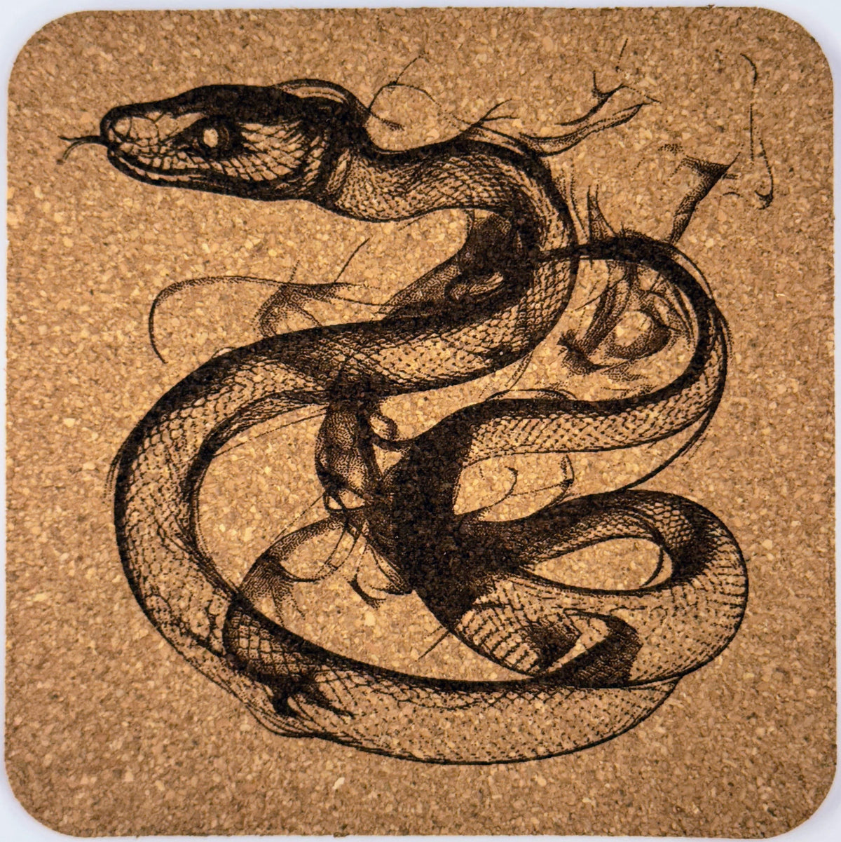 Laser Engraved Cork Coasters - Mystical Smoke Animal Design - Set of 4