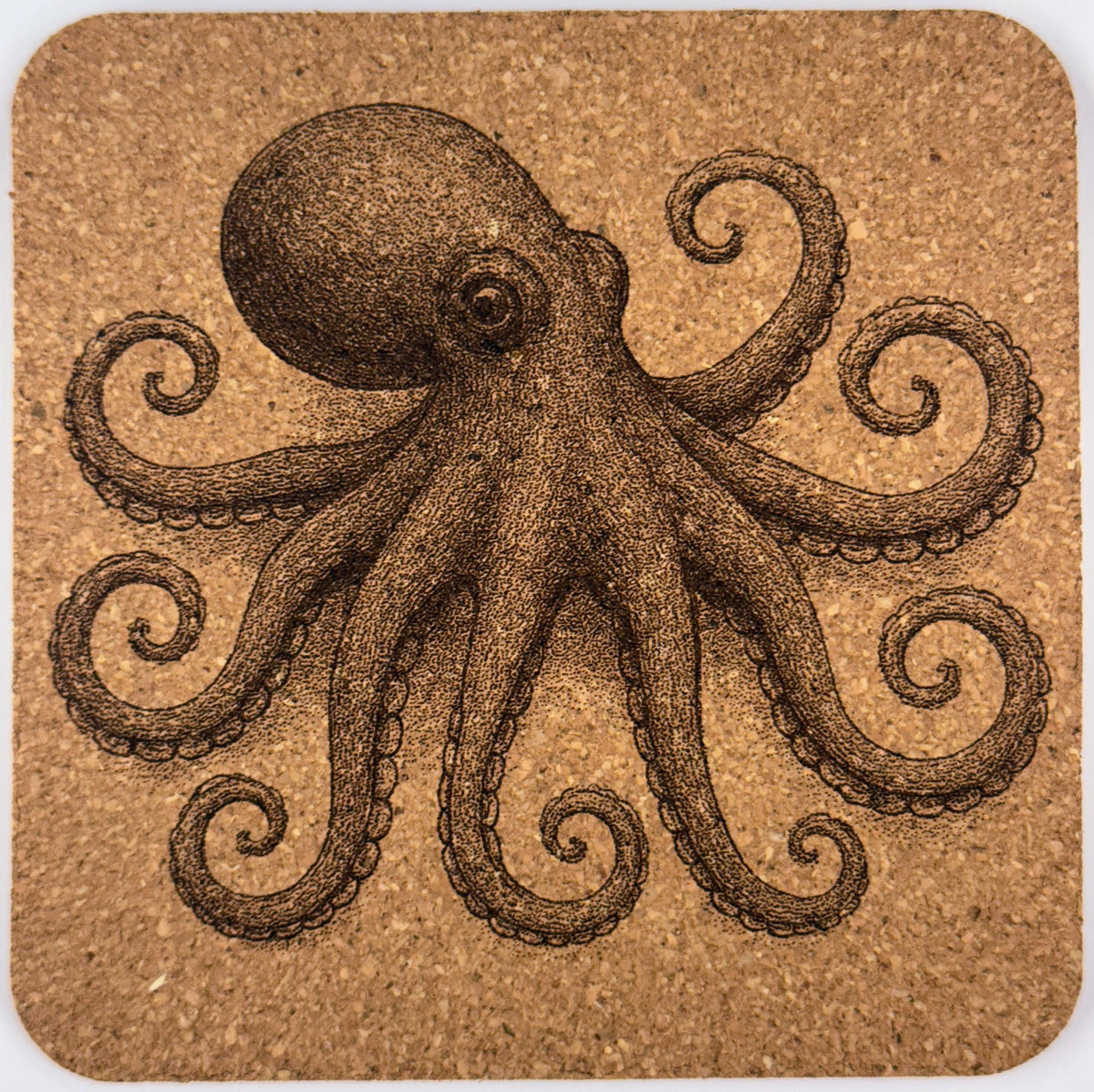 Sea Creature Cork Coasters: Nautical Beach House Decor Gift Set