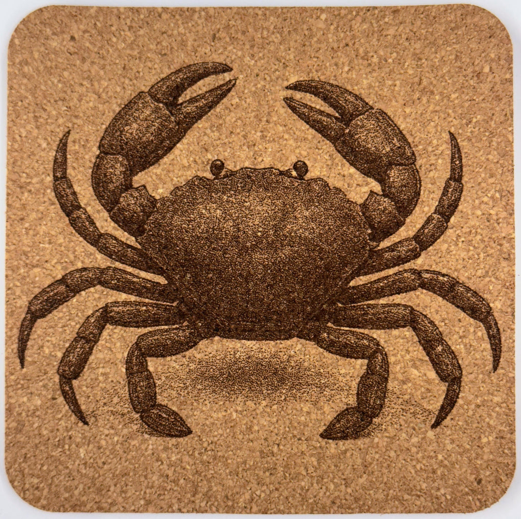 Sea Creature Cork Coasters: Nautical Beach House Decor Gift Set