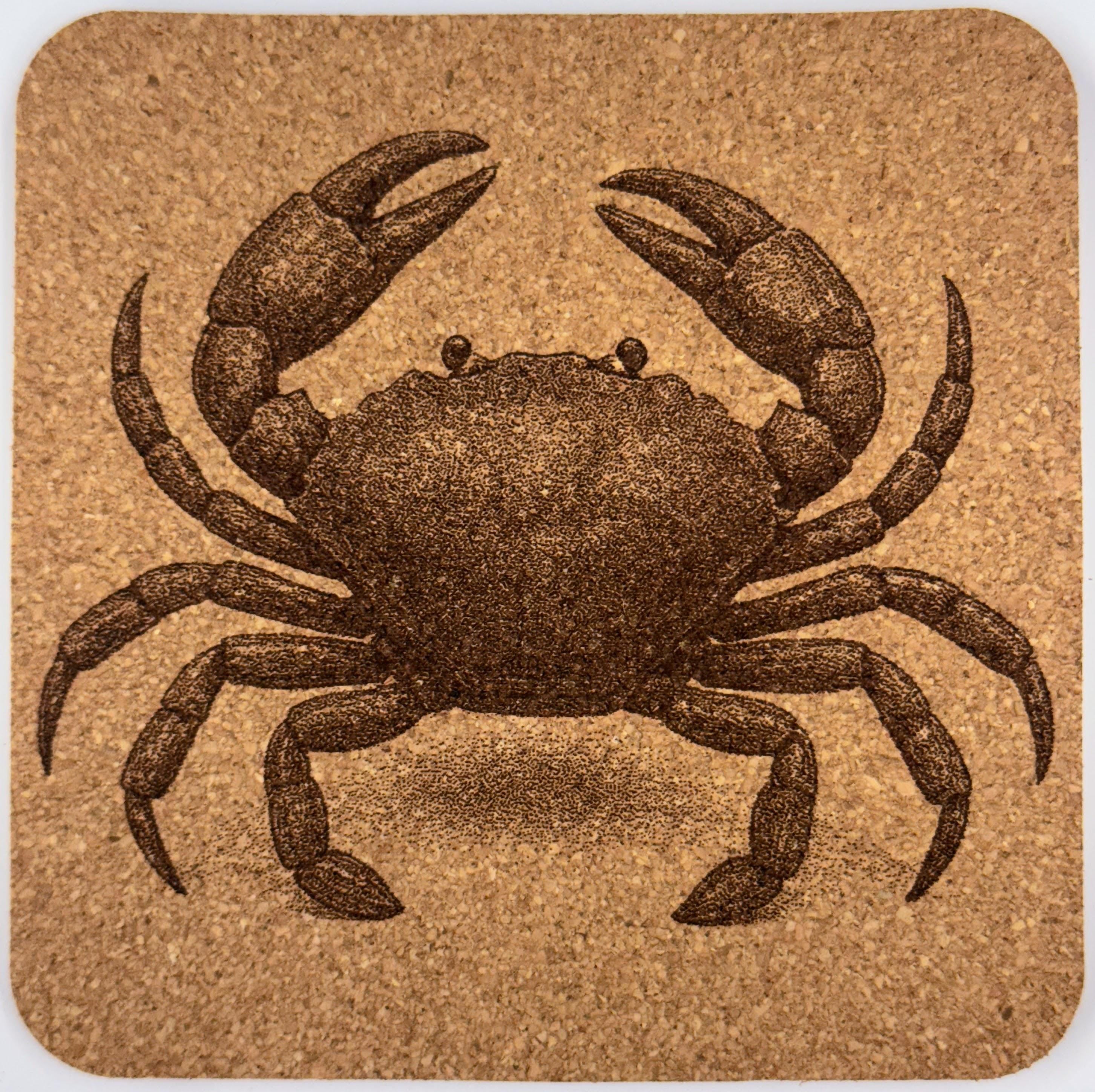 Sea Creature Cork Coasters: Nautical Beach House Decor Gift Set