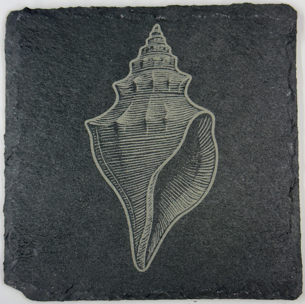 Engraved Slate Seashell Coasters: Nautical Ocean Theme Drinkware