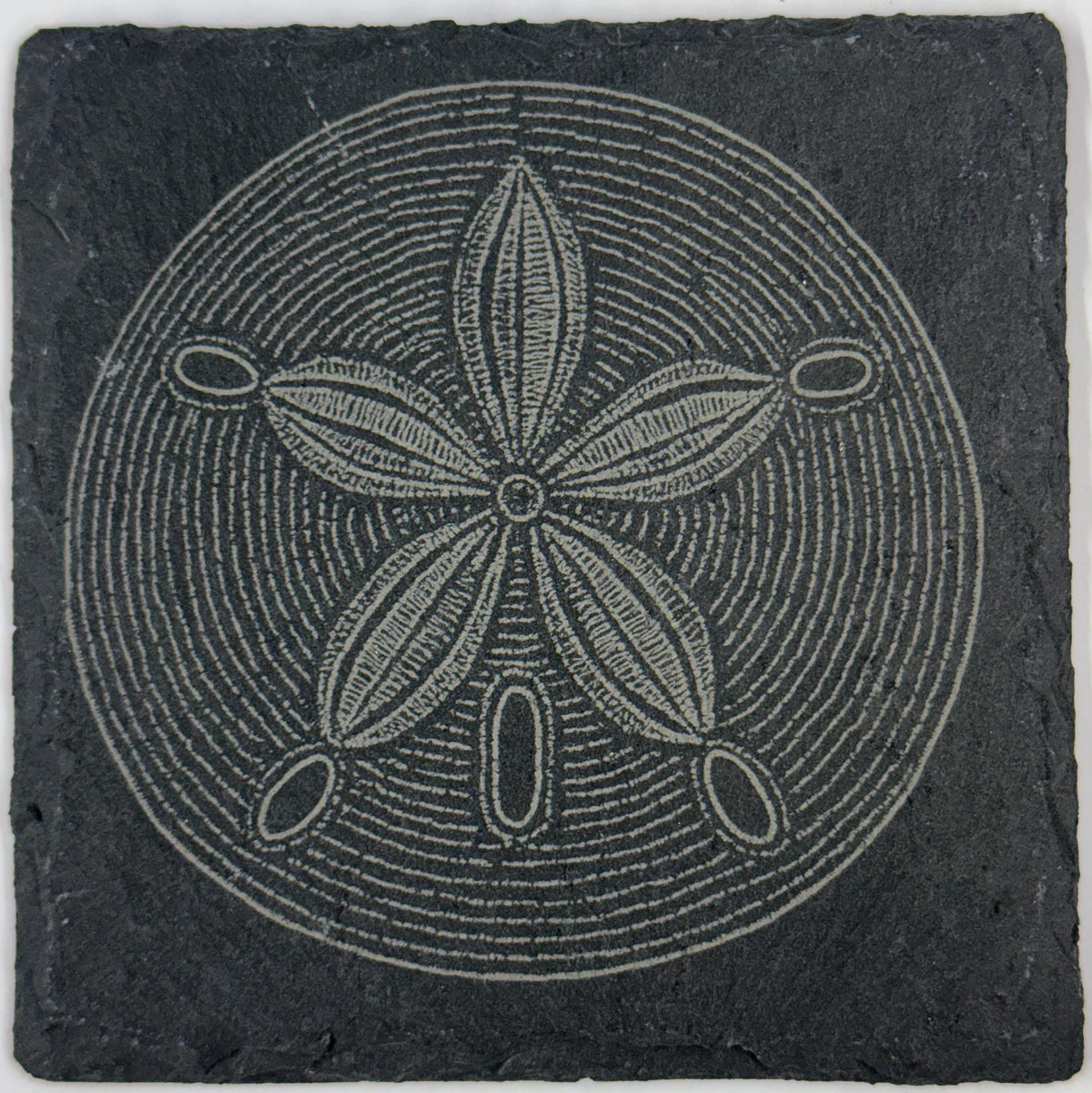 Engraved Slate Seashell Coasters: Nautical Ocean Theme Drinkware