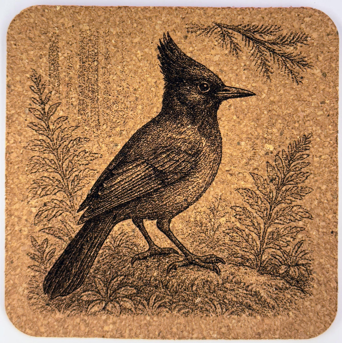 Engraved PNW Bird Cork Coaster Set: Rustic Pacific Northwest Decor