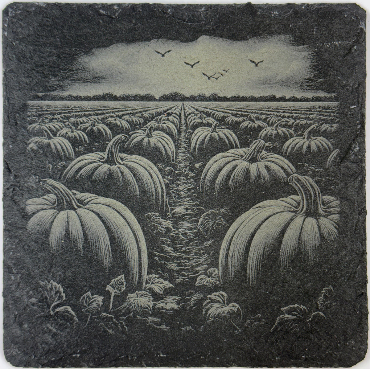 Fall Harvest Set of 4 Slate Coasters - Rustic Farmhouse Table Decor