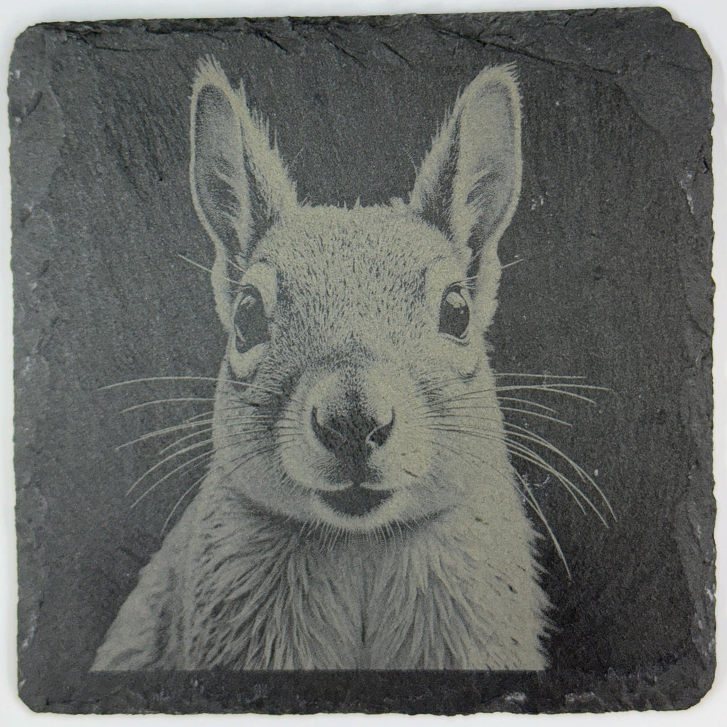 Squirrel Forest Wildlife, Rustic Cabin Decor, Set of 4 Laser Engraved Slate Coasters